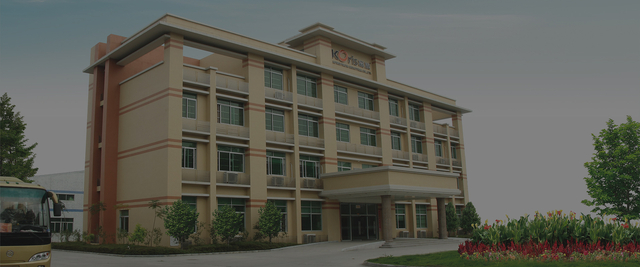 En las últimas dos décadas la innovación 